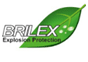 Brilex